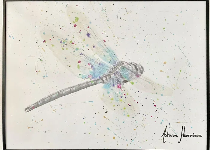 Libelle Lejlighed Lübben